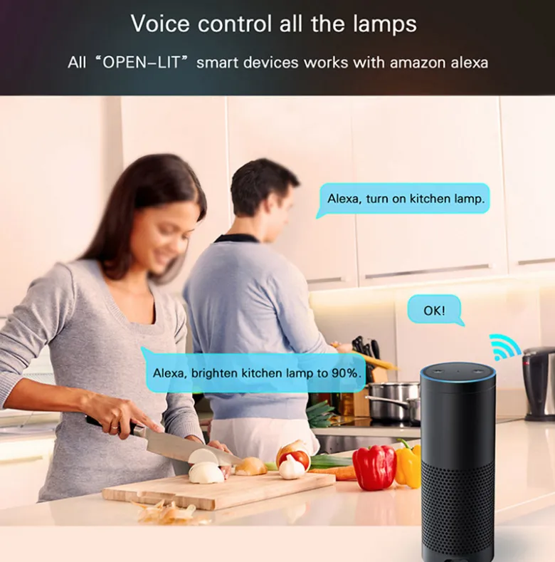Controlador Open Lit RGB+CCT, WiFi APP, Alexa Voice Control