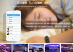 Controlador Open Lit RGB, WiFi APP, Alexa Voice Control
