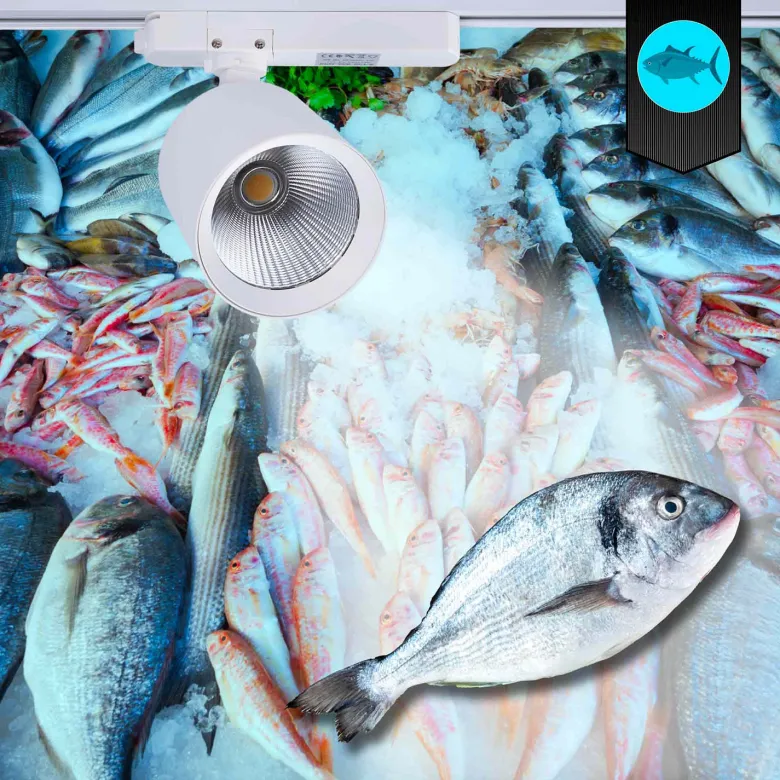 Foco carril Trifásico CRONOLUX, 40W-30W, blanco, 38º, UGR13, DUAL Carnes y Pescados