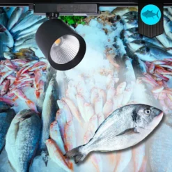 Foco carril Trifásico CRONOLUX, 40W-30W, blanco, 38º, UGR13, DUAL Carnes y Pescados