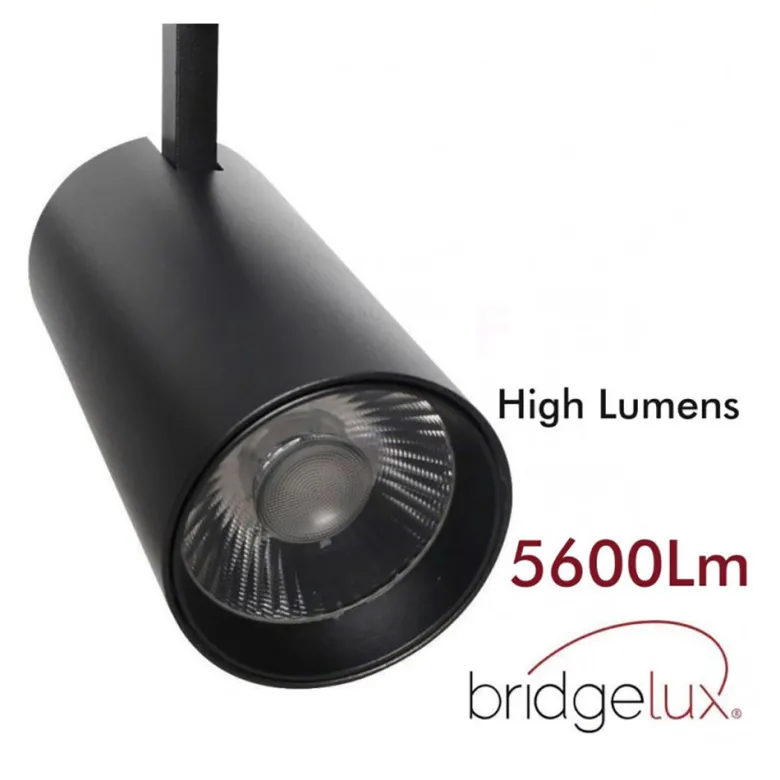 Foco carril Trifásico CRONOLUX, 40W-30W, blanco, 38º, UGR13, DUAL Carnes y Pescados
