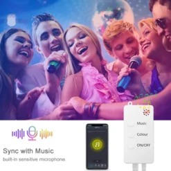 Kit guirnalda DC5V, 66 led-globo, 10m, RGB, WiFi + Bluetooth
