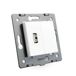 Mecanismo de empotrar enchufe USB, golden LIVOLO