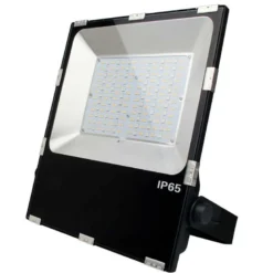 Proyector RGB+CCT Nichia Led, 100W, RF