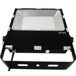 Proyector RGB+CCT Nichia Led, 100W, RF