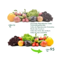 Spot LUCERNA, Bridgelux Chip, 6W, CCT, UGR11, pearl