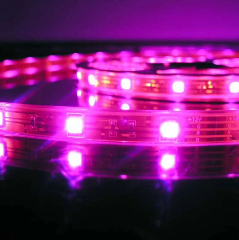 Tira LED SMD3528, DC12V, 5m (60 Led/m), ROSA - IP20