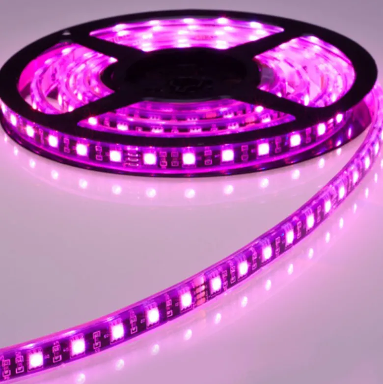 Tira LED SMD3528, DC12V, 5m (60 Led/m), ROSA - IP20