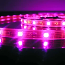 Tira LED SMD5050, DC12V, 5m (60 Led/m), ROSA - IP20