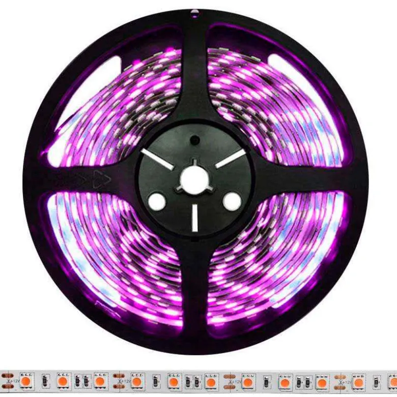 Tira LED SMD5050, DC12V, 5m (60 Led/m), ROSA - IP20