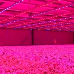 Tubo LED T8 18W, 120cm, PLANT GROW Full Spectrum, Crecimiento de plantas, IP65